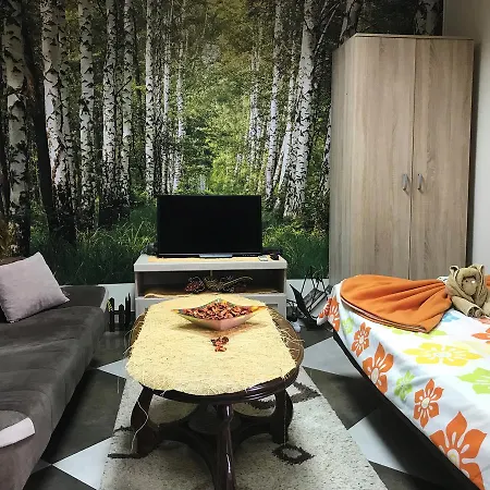 Apartman Lana Podgorica